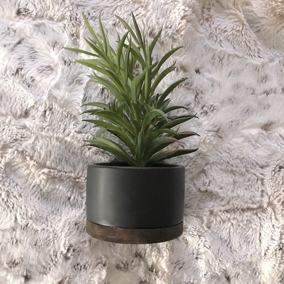 Threshold Faux Plant